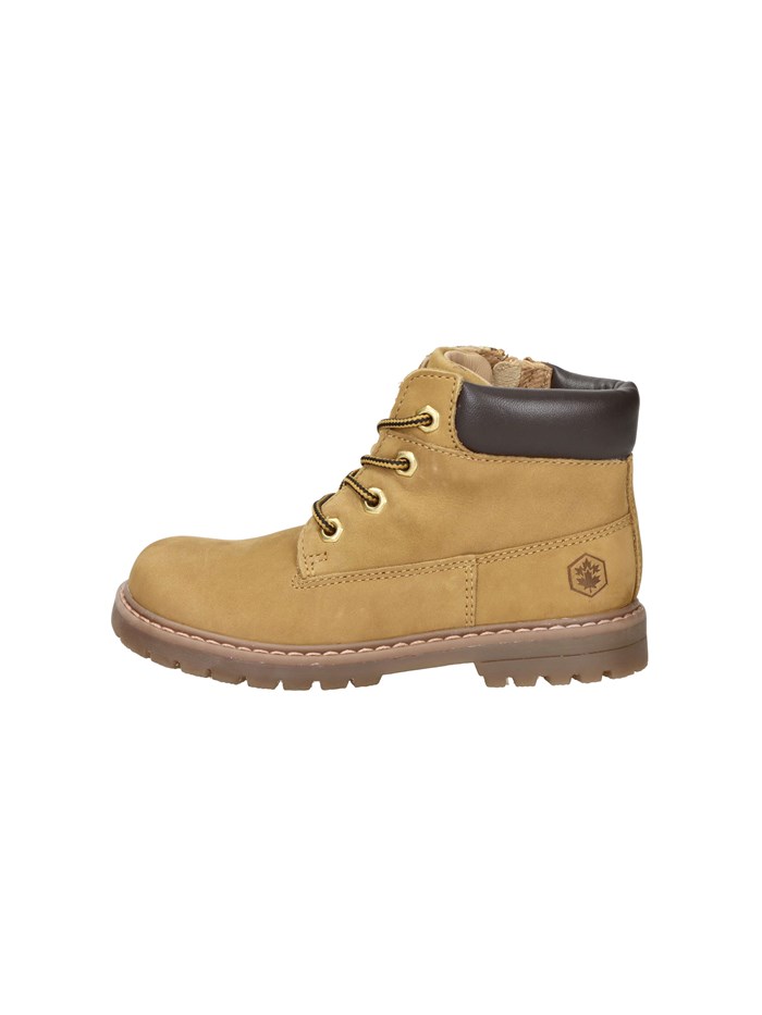 ANFIBI 102226802 GIALLO