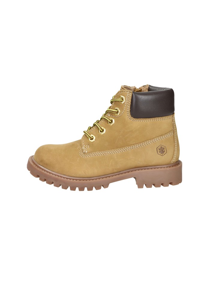 ANFIBI 102226798 GIALLO