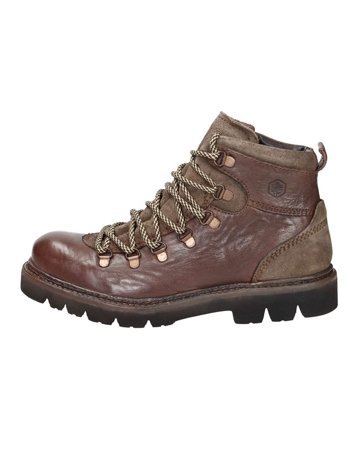 ANFIBI 102217004 MARRONE