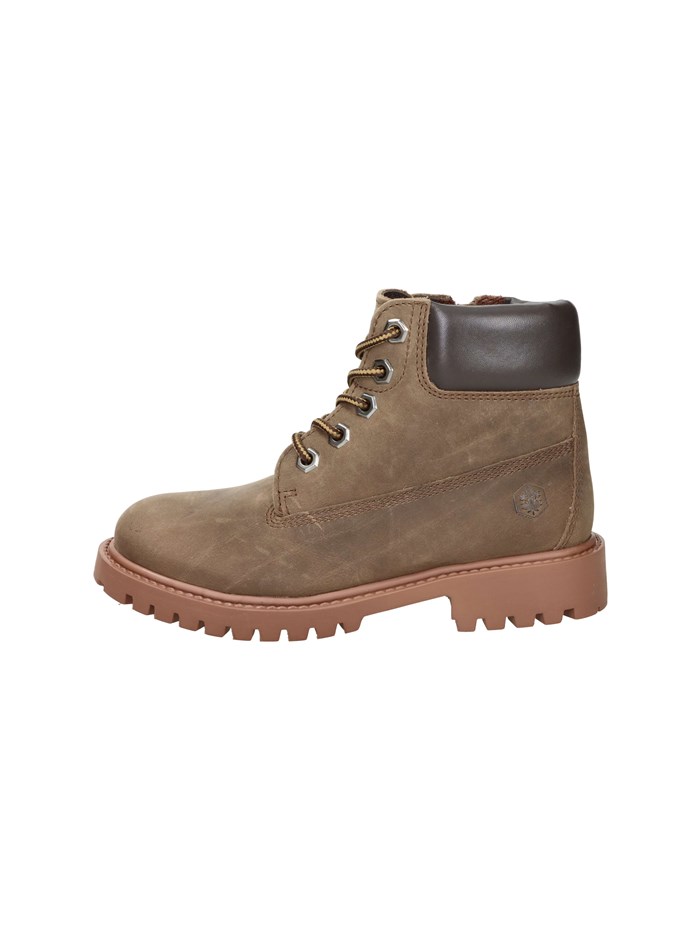 ANFIBI 102226798 MARRONE