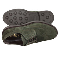 AROLD & AROLD Uomo Francesina AR612 Verdone