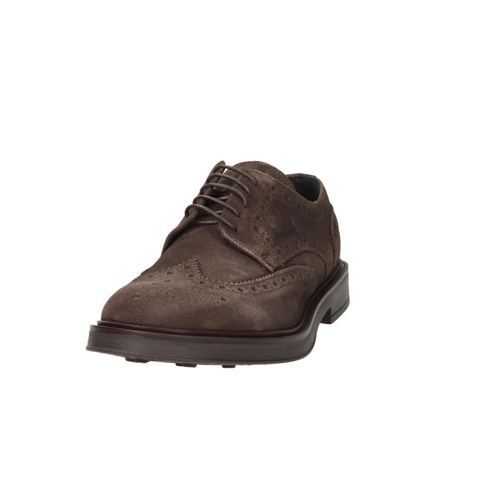AROLD & AROLD Uomo Francesina AR612 Marrone