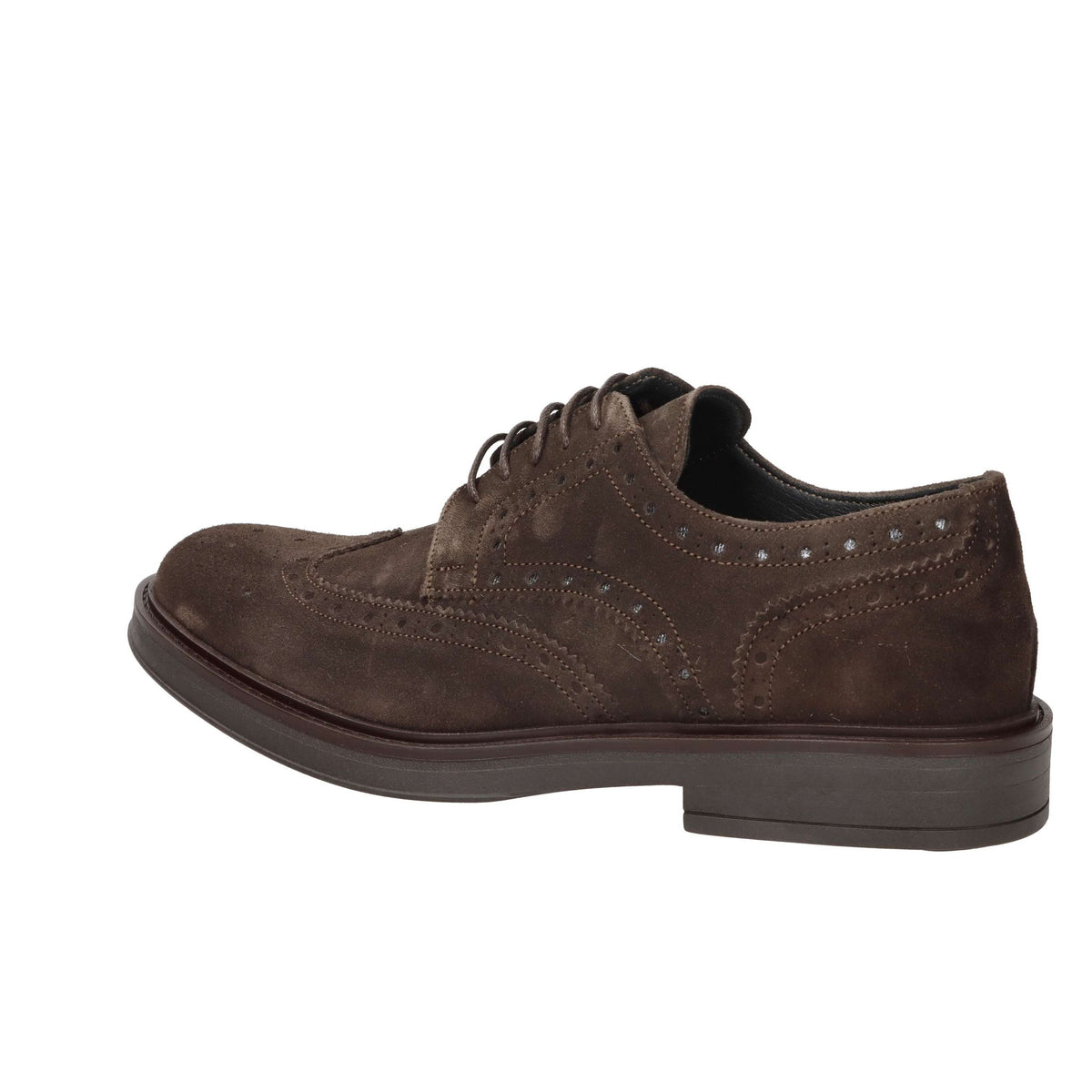 AROLD & AROLD Uomo Francesina AR612 Marrone