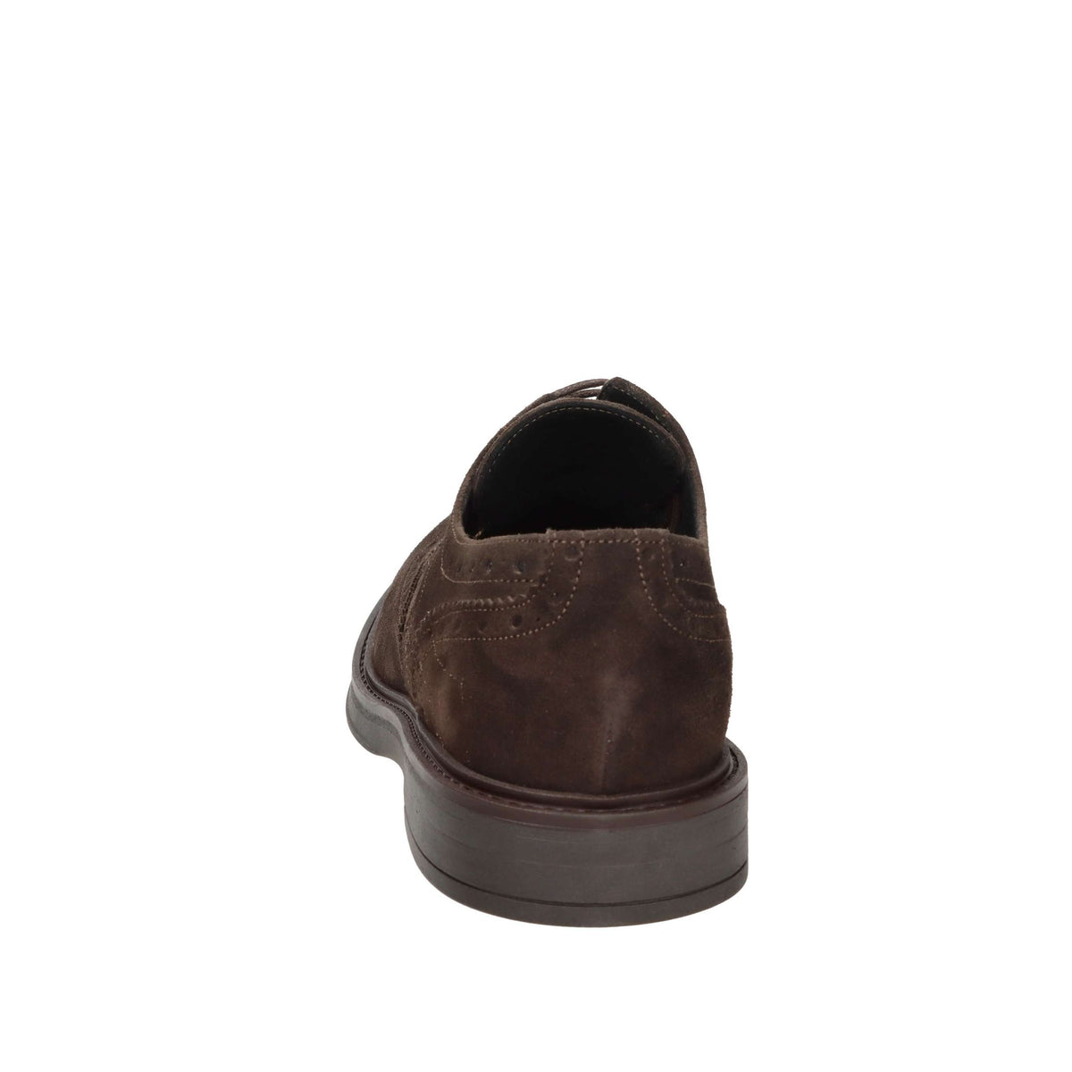 AROLD & AROLD Uomo Francesina AR612 Marrone