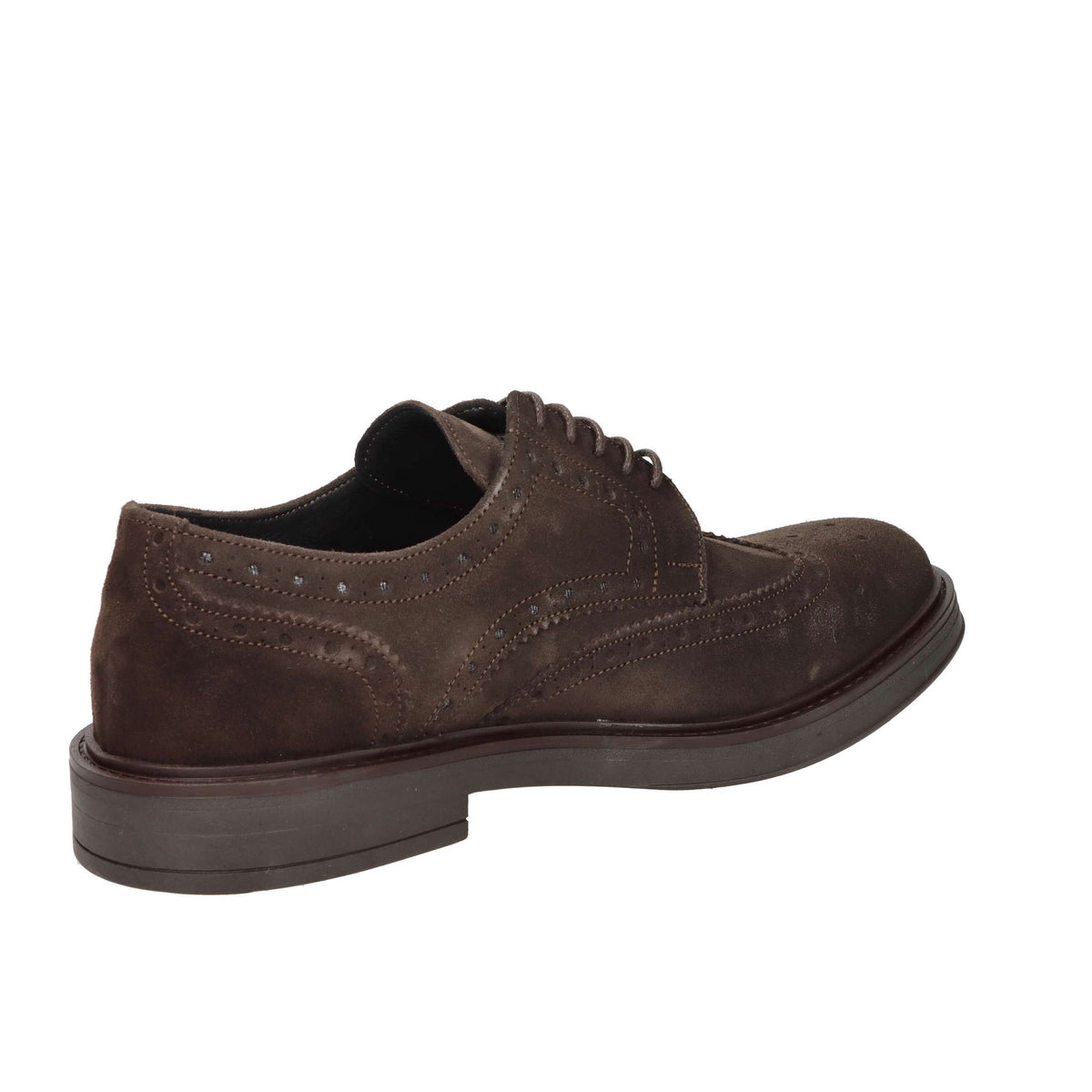 AROLD & AROLD Uomo Francesina AR612 Marrone