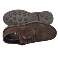 AROLD & AROLD Uomo Francesina AR612 Marrone