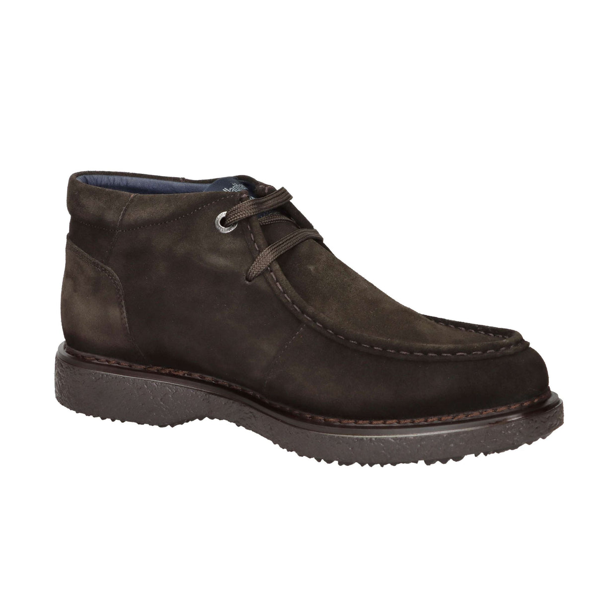 CALLAGHAN Uomo Stringata 12307 Marrone