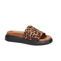 Shop Art Donna Ciabatte basse SASS250261 Taupe