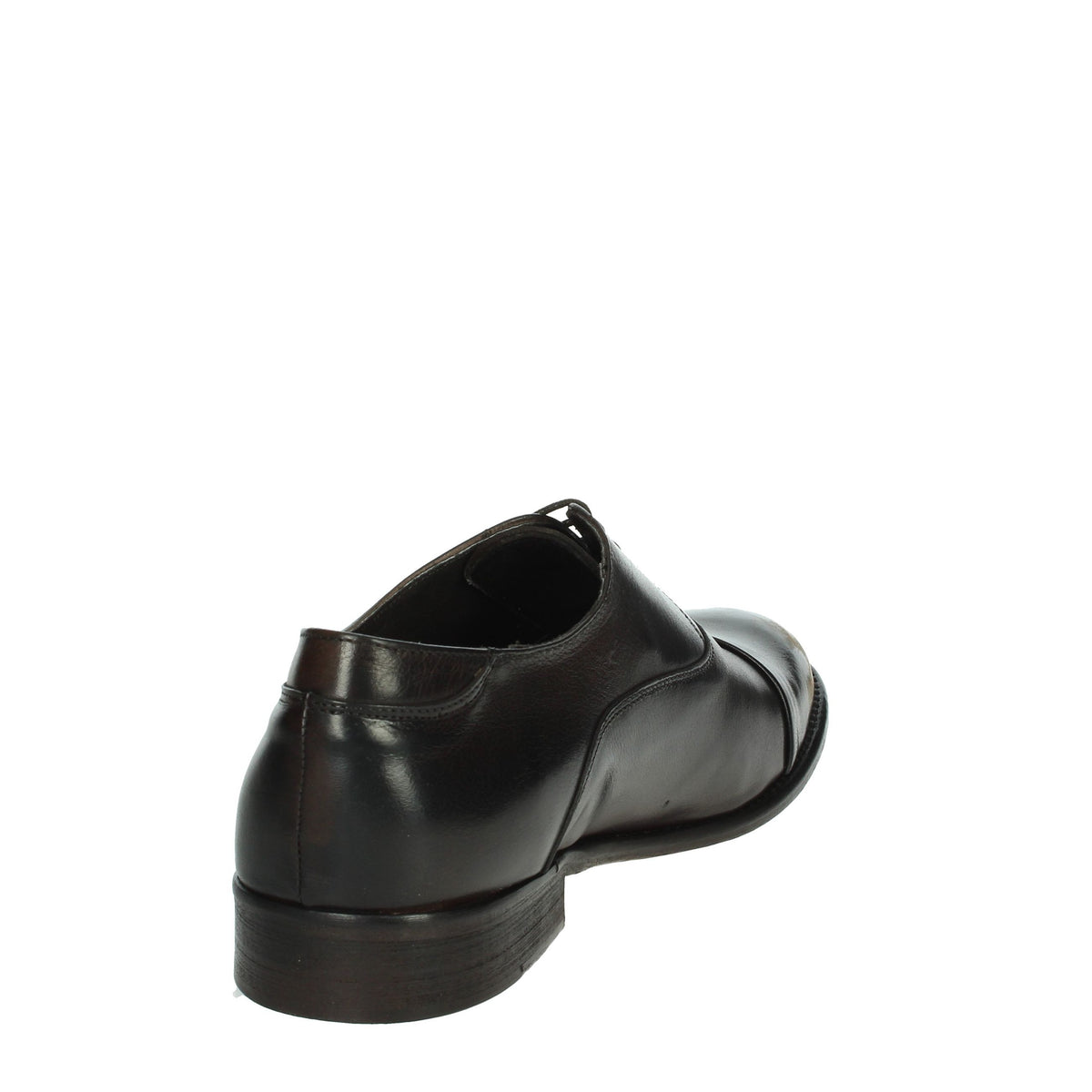 Veni Uomo Stringata 1V003 Marrone