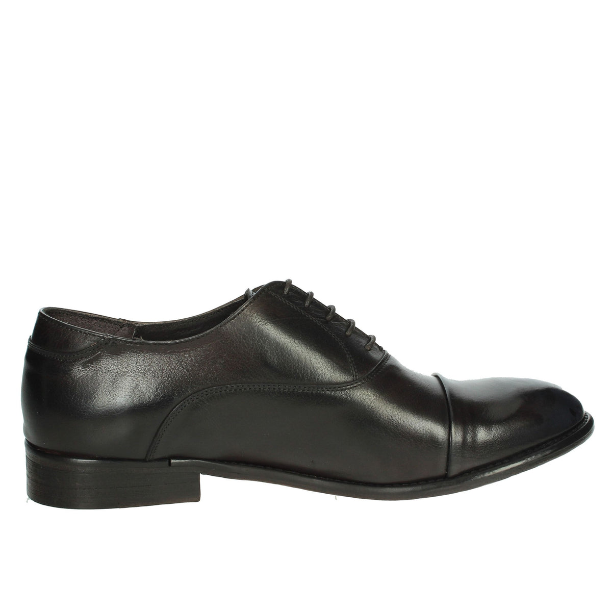Veni Uomo Stringata 1V003 Marrone
