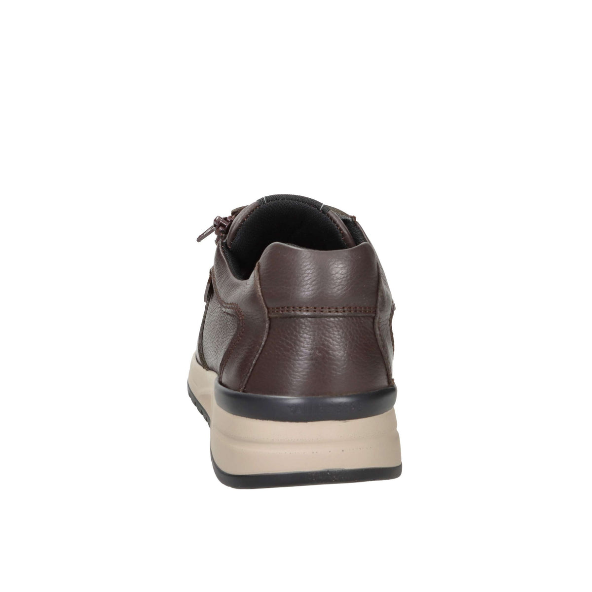 Valleverde Uomo Sneakers bassa VY954W Marrone