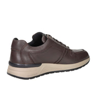 Valleverde Uomo Sneakers bassa VY954W Marrone