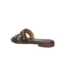 Ariel Mujer Zapatilla baja 17386 Marrón