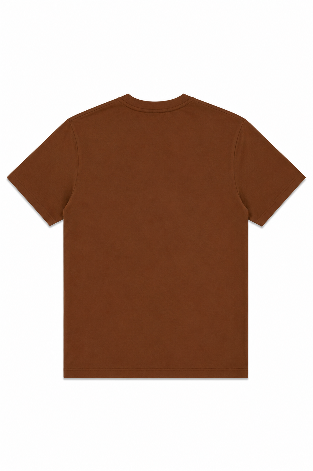 Richmond X Uomo T-shirt UMP26024TS Marrone