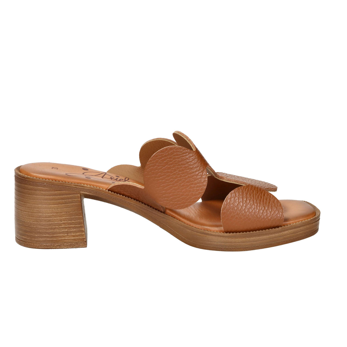 Ariel Women's Ciabatta with Heel 17244 Leather