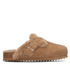 Xti Unisex bambino Sabot 154096 Cammello