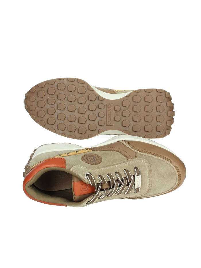 SNEAKERS BASSA 160100 TAUPE