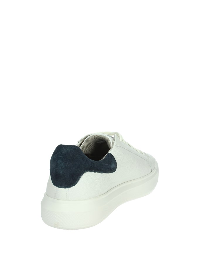 SNEAKERS BASSA U455WD 00047 BIANCO/BLU