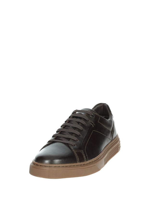 SNEAKERS BASSA 242U413 MARRONE