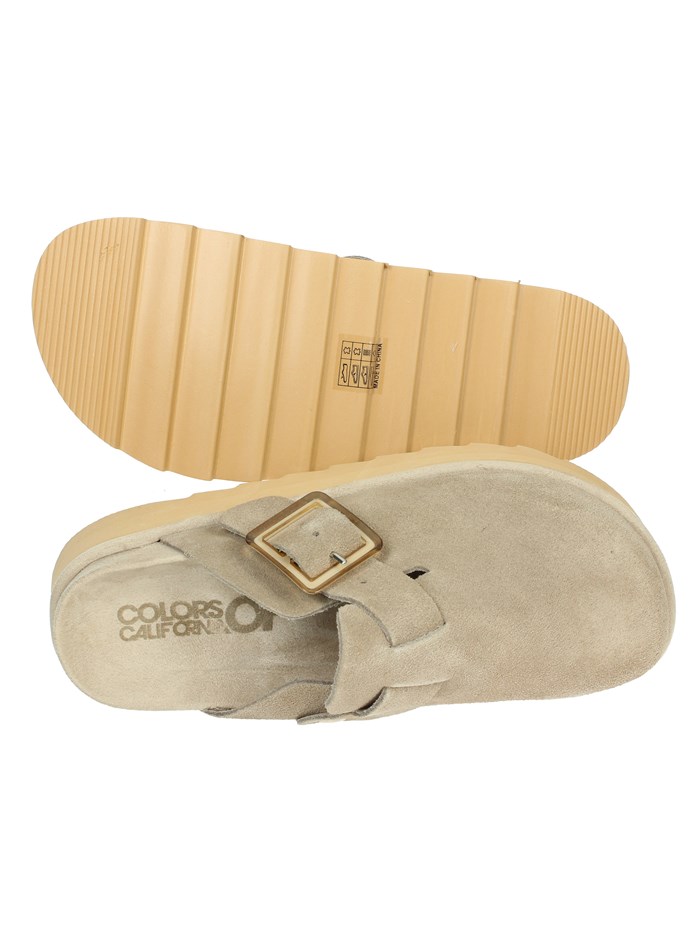 SABOT HC.STORMY55 TORTORA