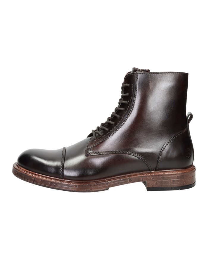 ANFIBI 102217091 MARRONE