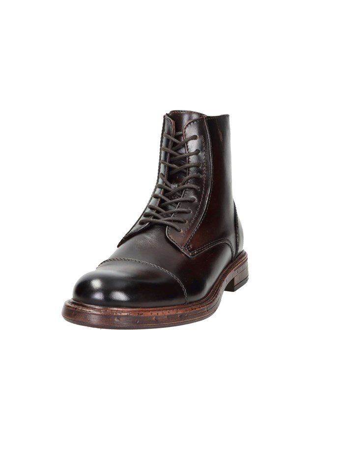 ANFIBI 102217091 MARRONE