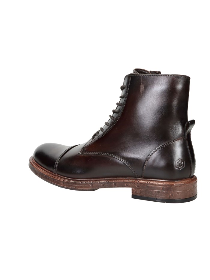 ANFIBI 102217091 MARRONE