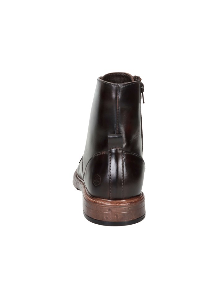 ANFIBI 102217091 MARRONE