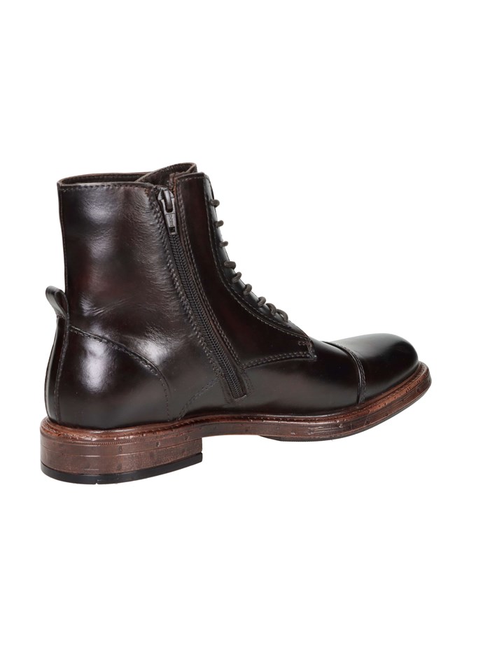 ANFIBI 102217091 MARRONE