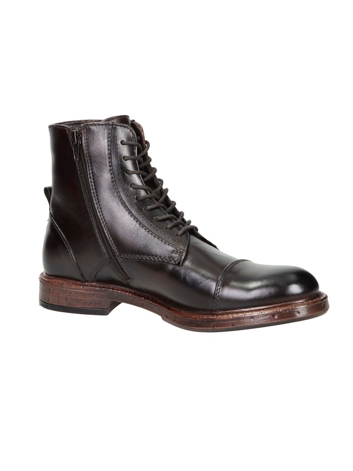 ANFIBI 102217091 MARRONE