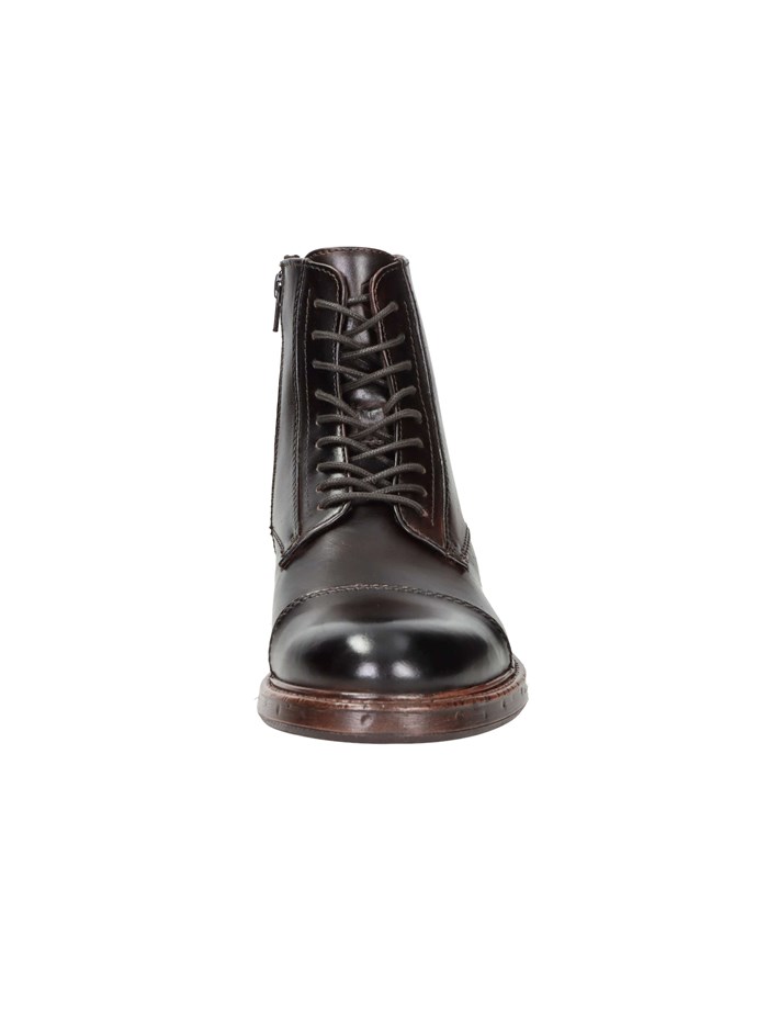 ANFIBI 102217091 MARRONE