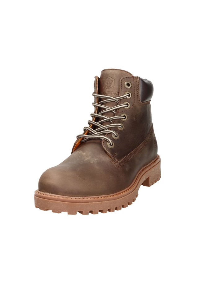 ANFIBI 102217663 MARRONE