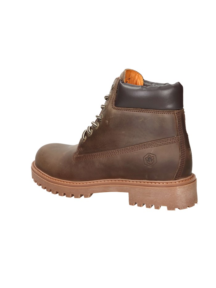 ANFIBI 102217663 MARRONE