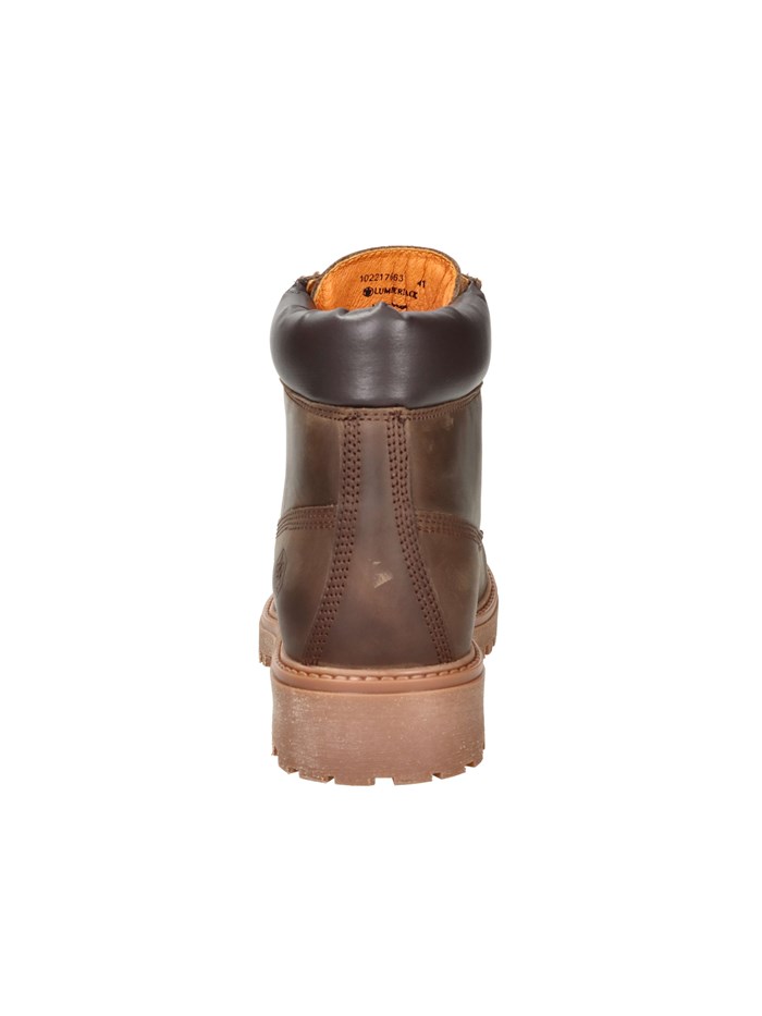 ANFIBI 102217663 MARRONE