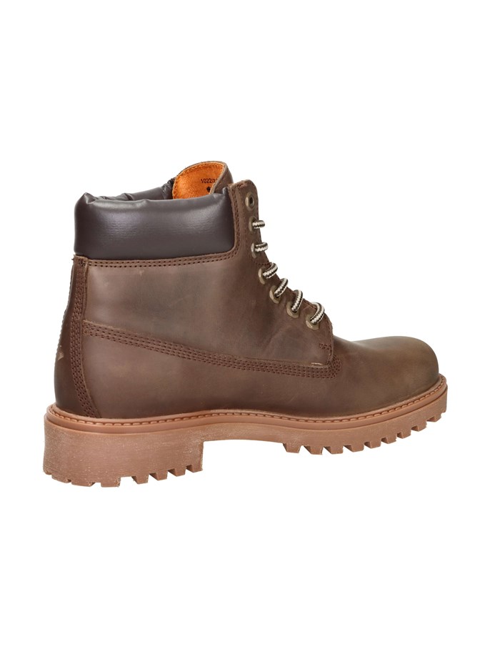 ANFIBI 102217663 MARRONE