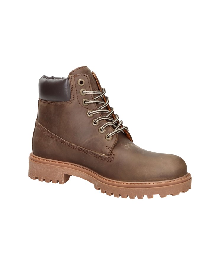 ANFIBI 102217663 MARRONE