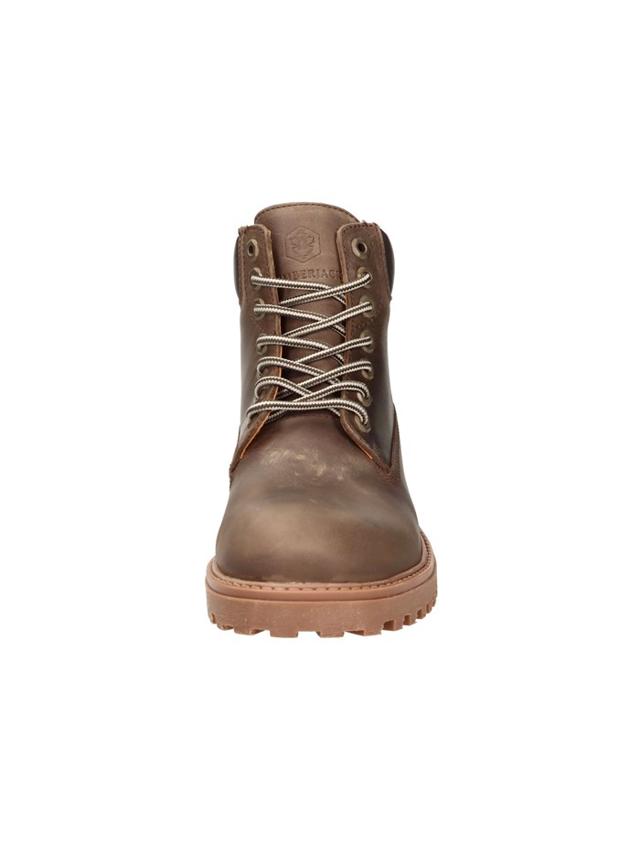 ANFIBI 102217663 MARRONE