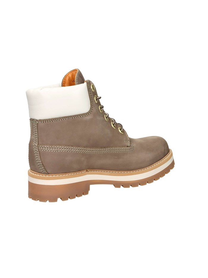 ANFIBI 102220141 TORTORA