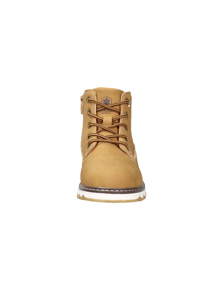 ANFIBI 102227140 GIALLO