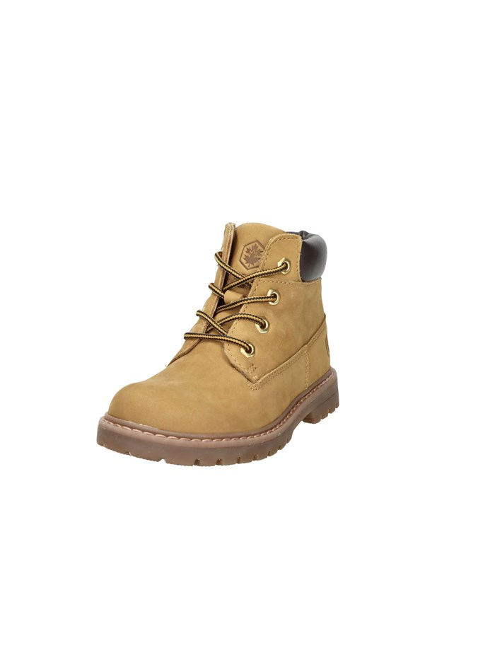 ANFIBI 102226802 GIALLO