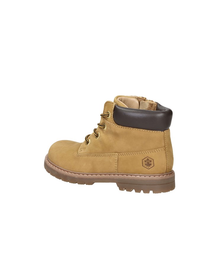 ANFIBI 102226802 GIALLO