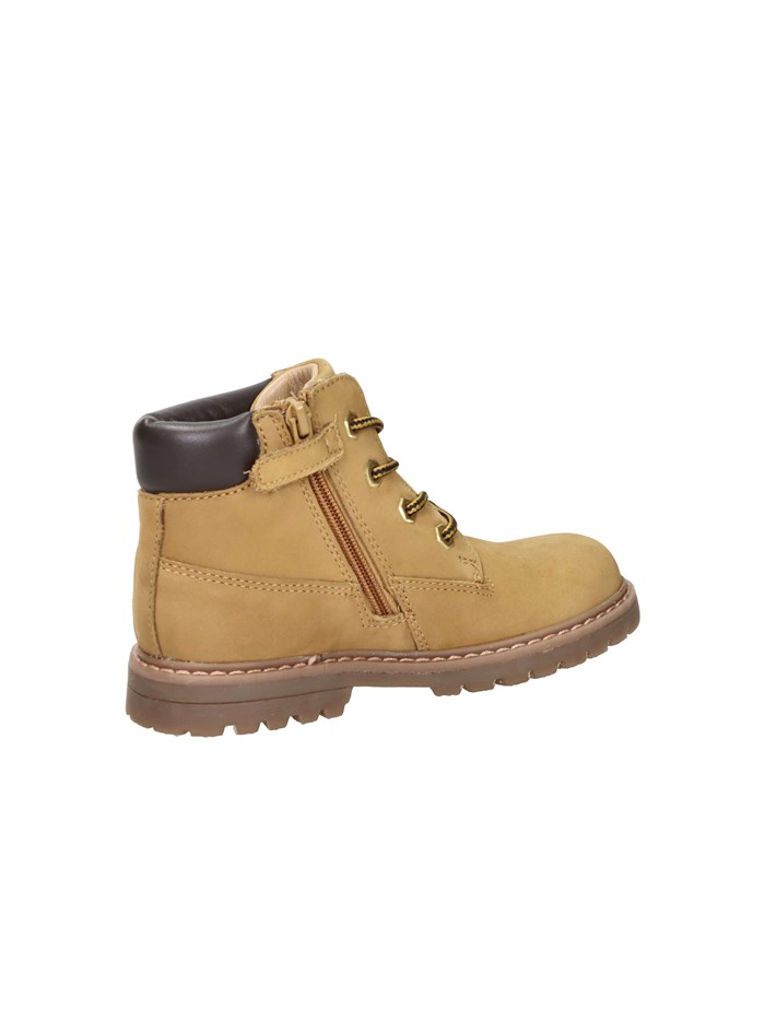 ANFIBI 102226802 GIALLO