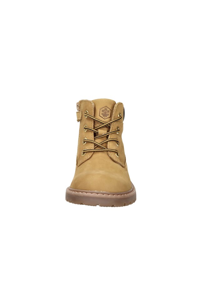 ANFIBI 102226802 GIALLO