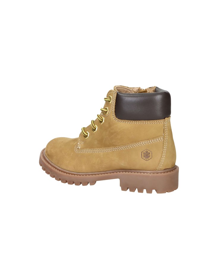 ANFIBI 102226798 GIALLO