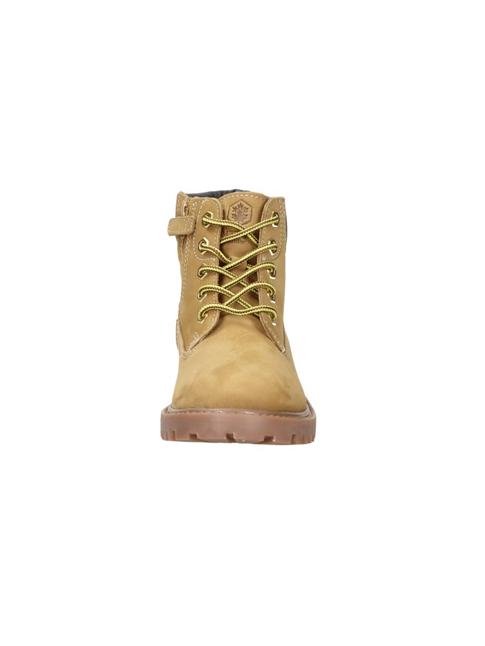 ANFIBI 102226798 GIALLO