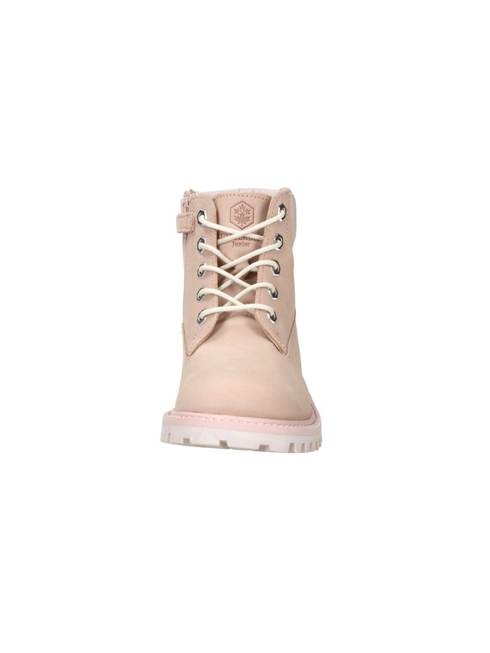 ANFIBI 102226799 ROSA
