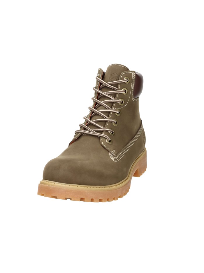 ANFIBI 102217666 MARRONE