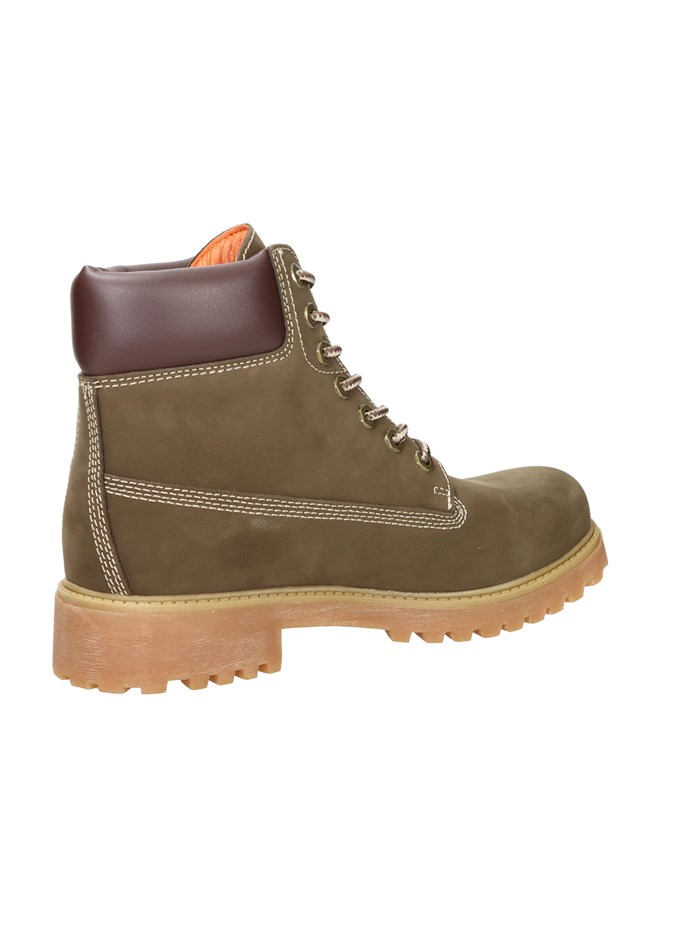 ANFIBI 102217666 MARRONE
