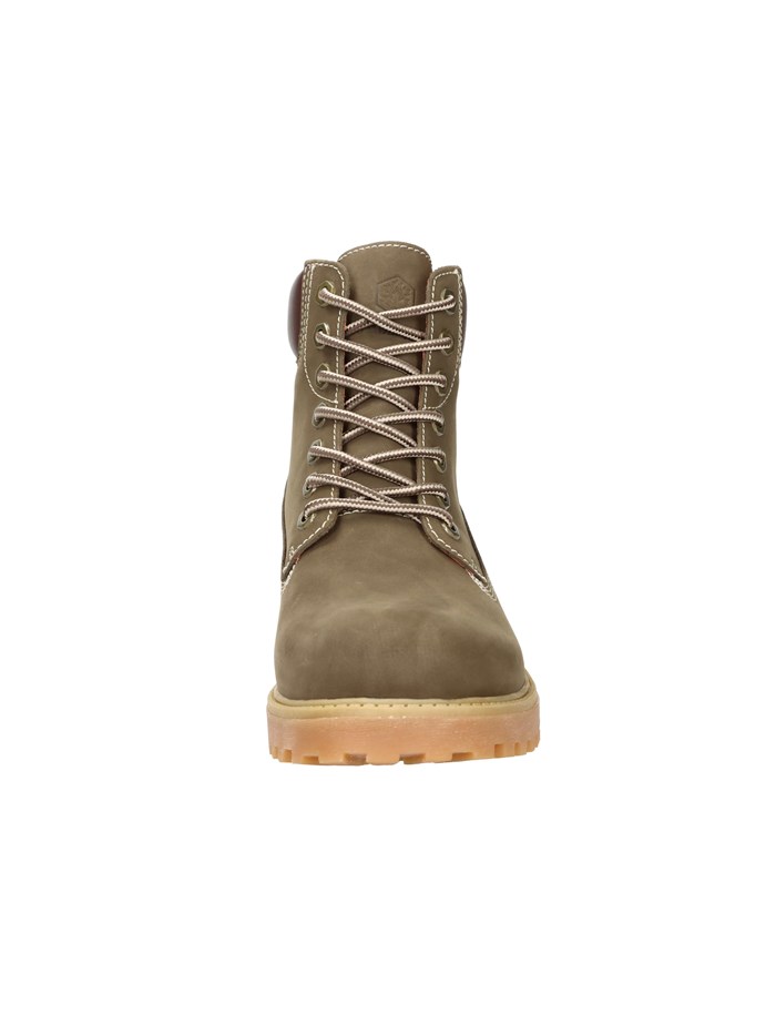 ANFIBI 102217666 MARRONE