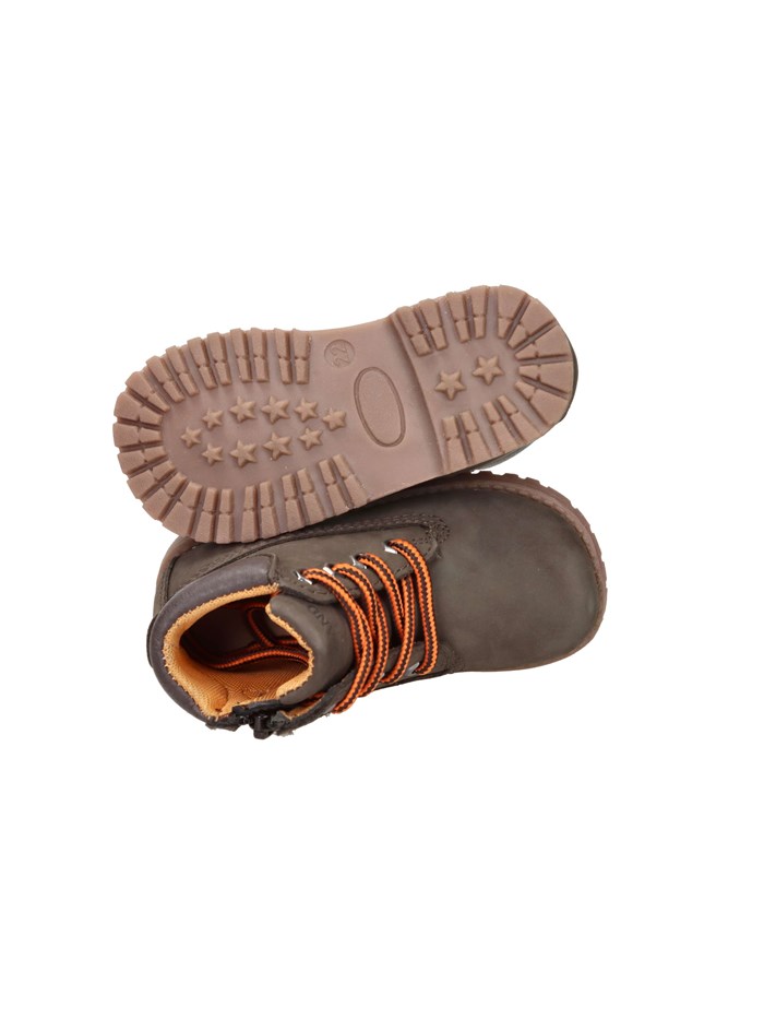 ANFIBI PP0473-88 MARRONE